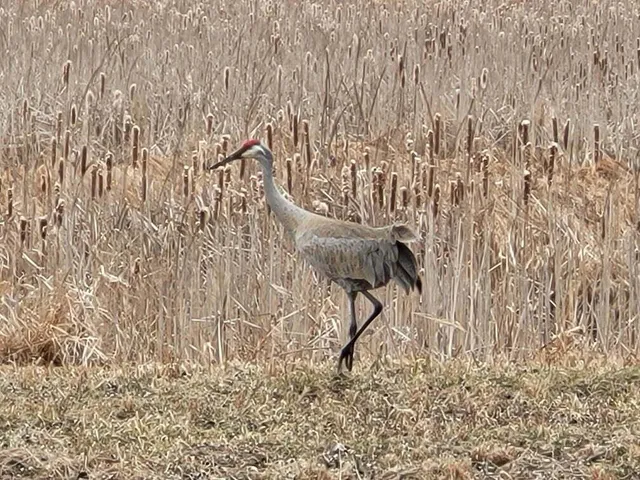 $550,000 | 211 Bluff Avenue, Eastlake, MI 49626