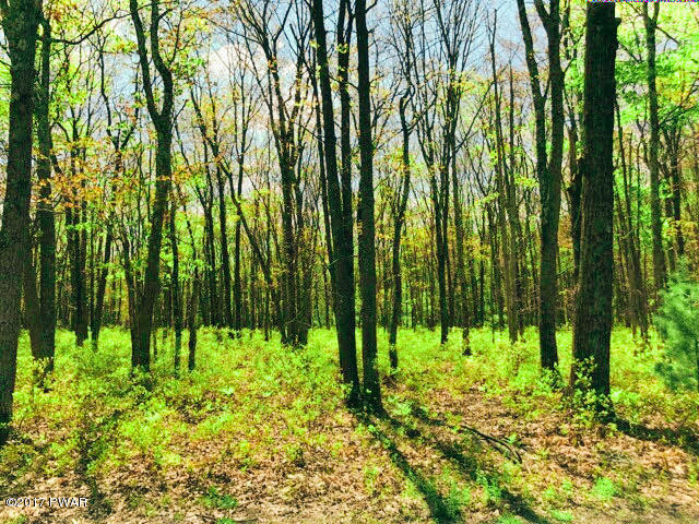 110 Timber Ridge Drive Shohola, PA 18458 - Photo 4 of 5 Lot