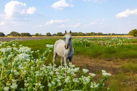 a view of a lake from a yard