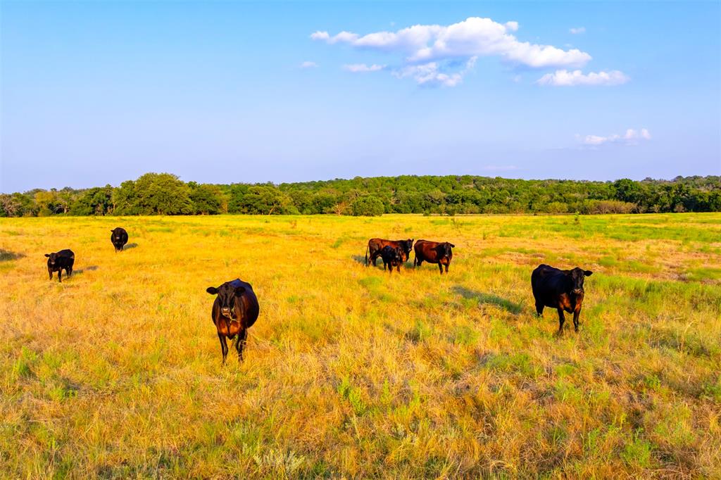 1515 County Road 510 Hamilton, TX 76531 - Photo 10 of 12 a view of a lake