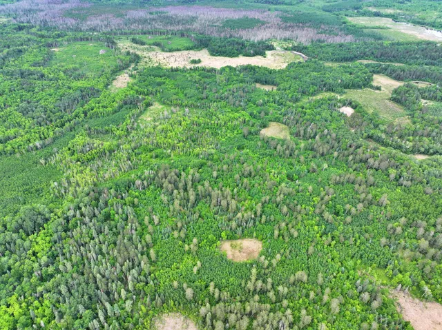 $300,000 | Tbd Tbd Xxx, Osage, MN 56570