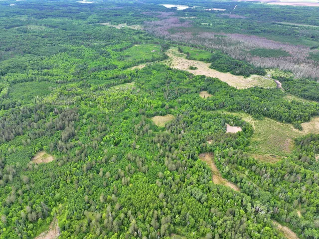 $300,000 | Tbd Tbd Xxx, Osage, MN 56570