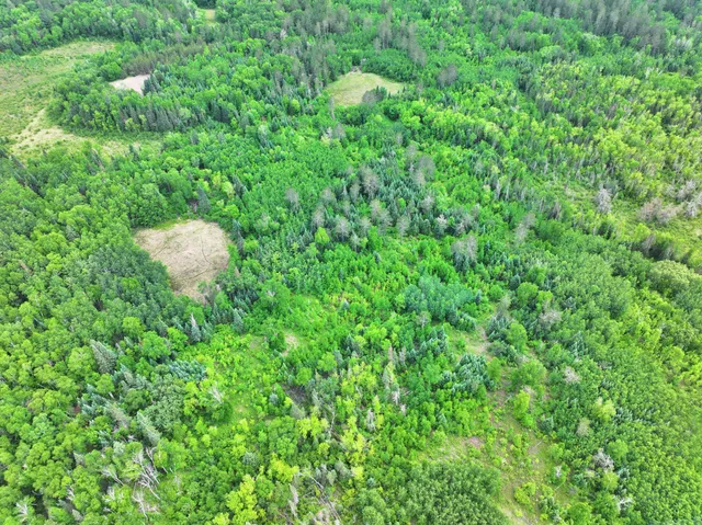 $300,000 | Tbd Tbd Xxx, Osage, MN 56570