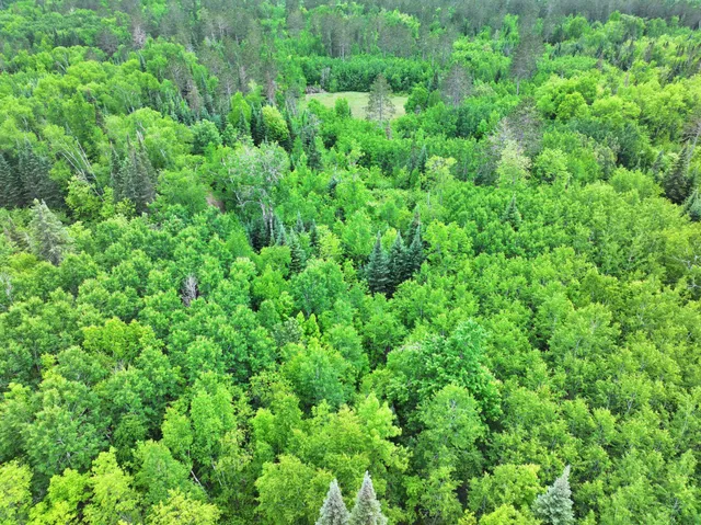 $300,000 | Tbd Tbd Xxx, Osage, MN 56570