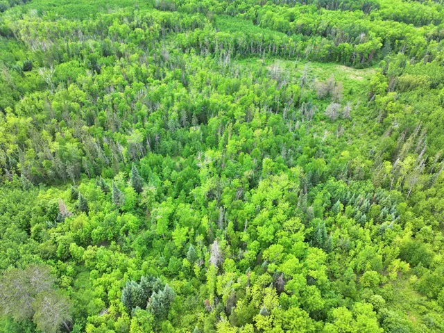 $300,000 | Tbd Tbd Xxx, Osage, MN 56570