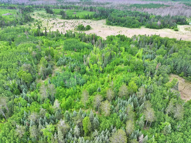 $300,000 | Tbd Tbd Xxx, Osage, MN 56570