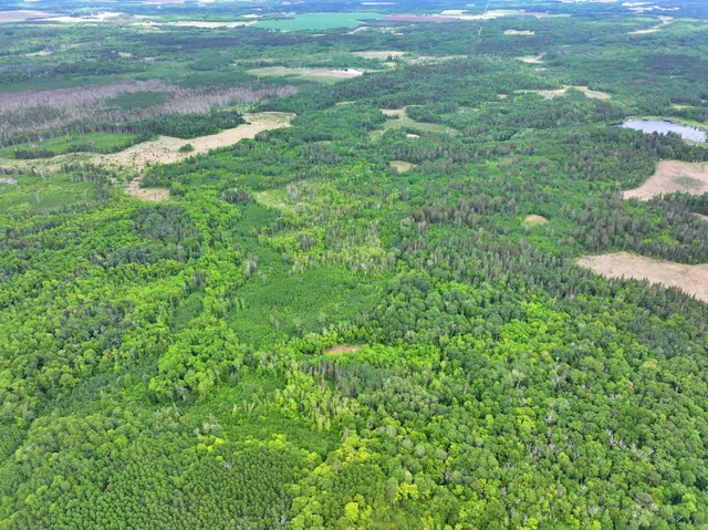 $300,000 | Tbd Tbd Xxx, Osage, MN 56570