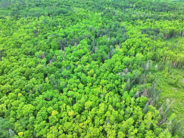 $300,000 | Tbd Tbd Xxx, Osage, MN 56570