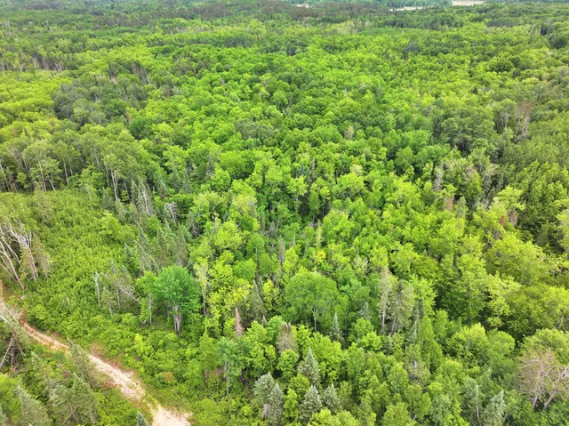 $300,000 | Tbd Tbd Xxx, Osage, MN 56570