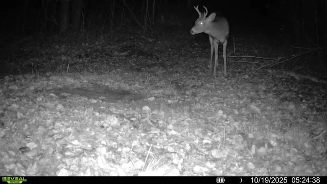 $300,000 | Tbd Tbd Xxx, Osage, MN 56570