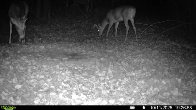 $300,000 | Tbd Tbd Xxx, Osage, MN 56570