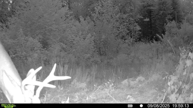 $300,000 | Tbd Tbd Xxx, Osage, MN 56570