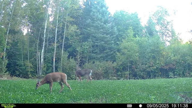 $300,000 | Tbd Tbd Xxx, Osage, MN 56570