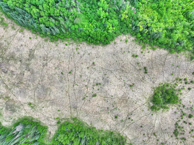 $300,000 | Tbd Tbd Xxx, Osage, MN 56570