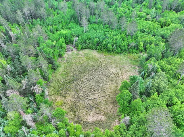 $300,000 | Tbd Tbd Xxx, Osage, MN 56570