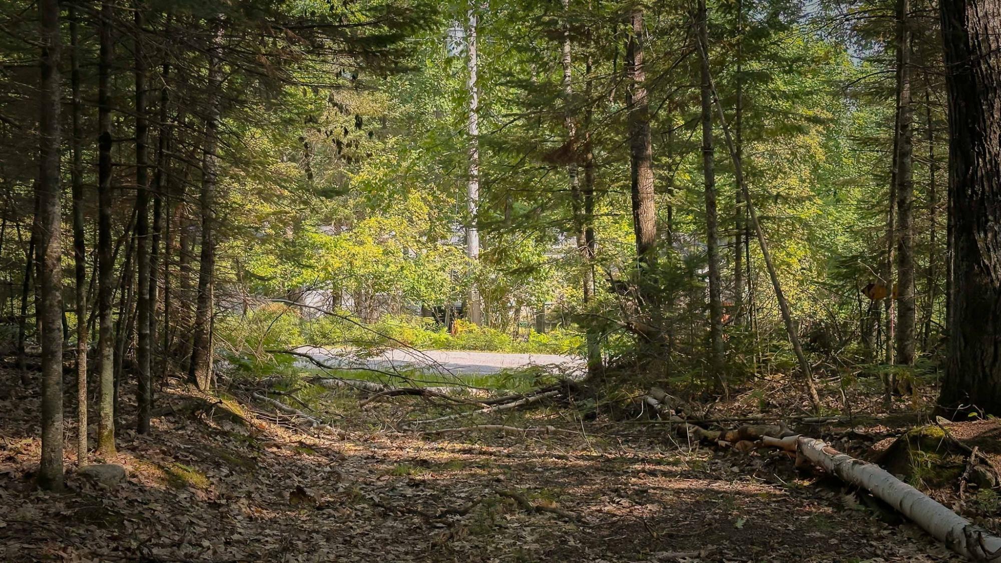 On Fish Lake Lane Rhinelander, WI 54501 - Photo 7 of 15 Gallery Image 7
