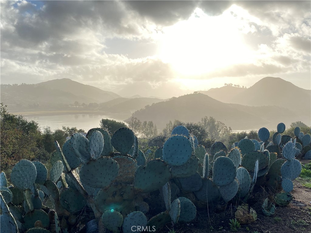 a view of a lake in middle of the forest