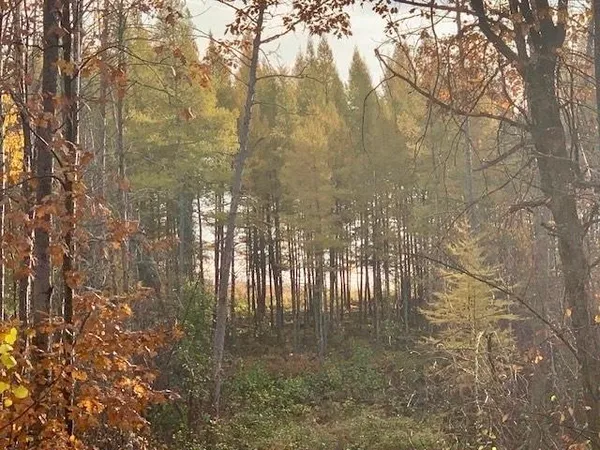 $124,900 | 4 County 4, Lake George, MN 56458