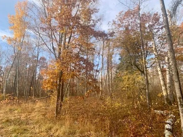 $124,900 | 4 County 4, Lake George, MN 56458
