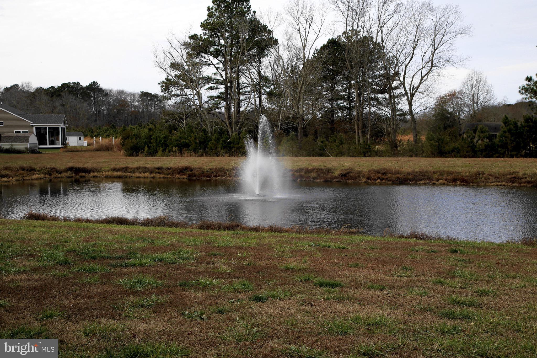 38712 Foxhall Road Frankford, DE 19945 - Photo 6 of 62 Enjoy the pond and fountain beyond back yard