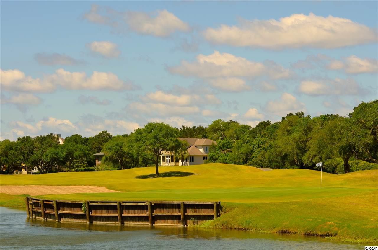 Lot 251 Pinckney Road Georgetown, SC 29440 - Photo 12 of 40 Gallery Image 12