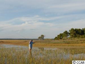 Lot 251 Pinckney Road Georgetown, SC 29440 - Photo 16 of 40 Gallery Image 16