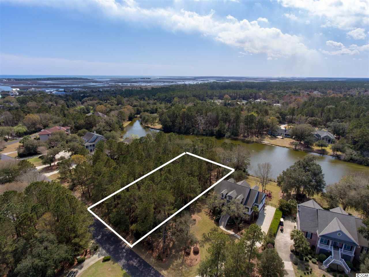 Lot 251 Pinckney Road Georgetown, SC 29440 - Photo 4 of 40 Gallery Image 4