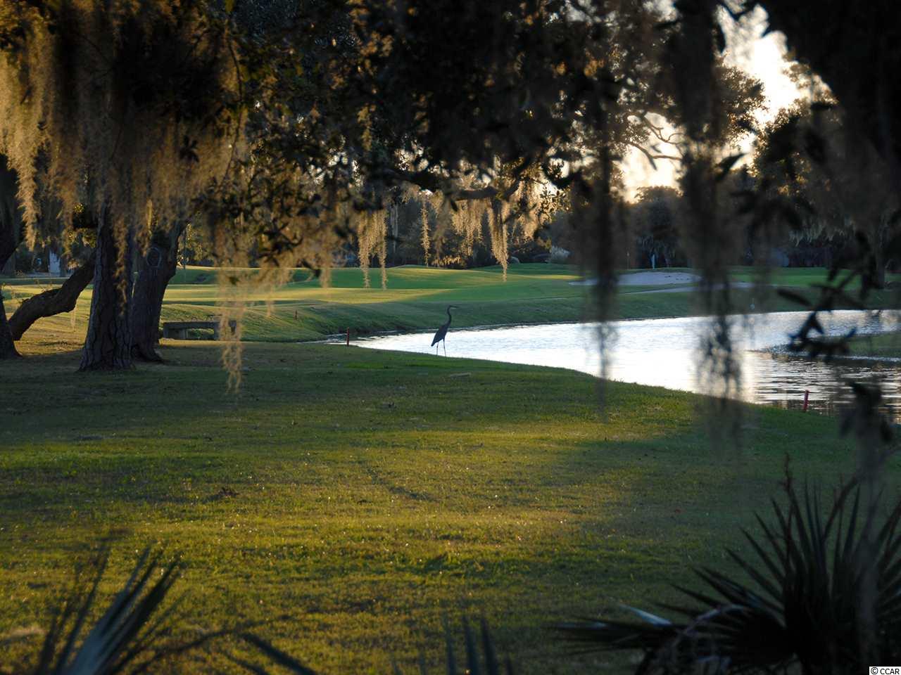 Lot 251 Pinckney Road Georgetown, SC 29440 - Photo 40 of 40 Gallery Image 40