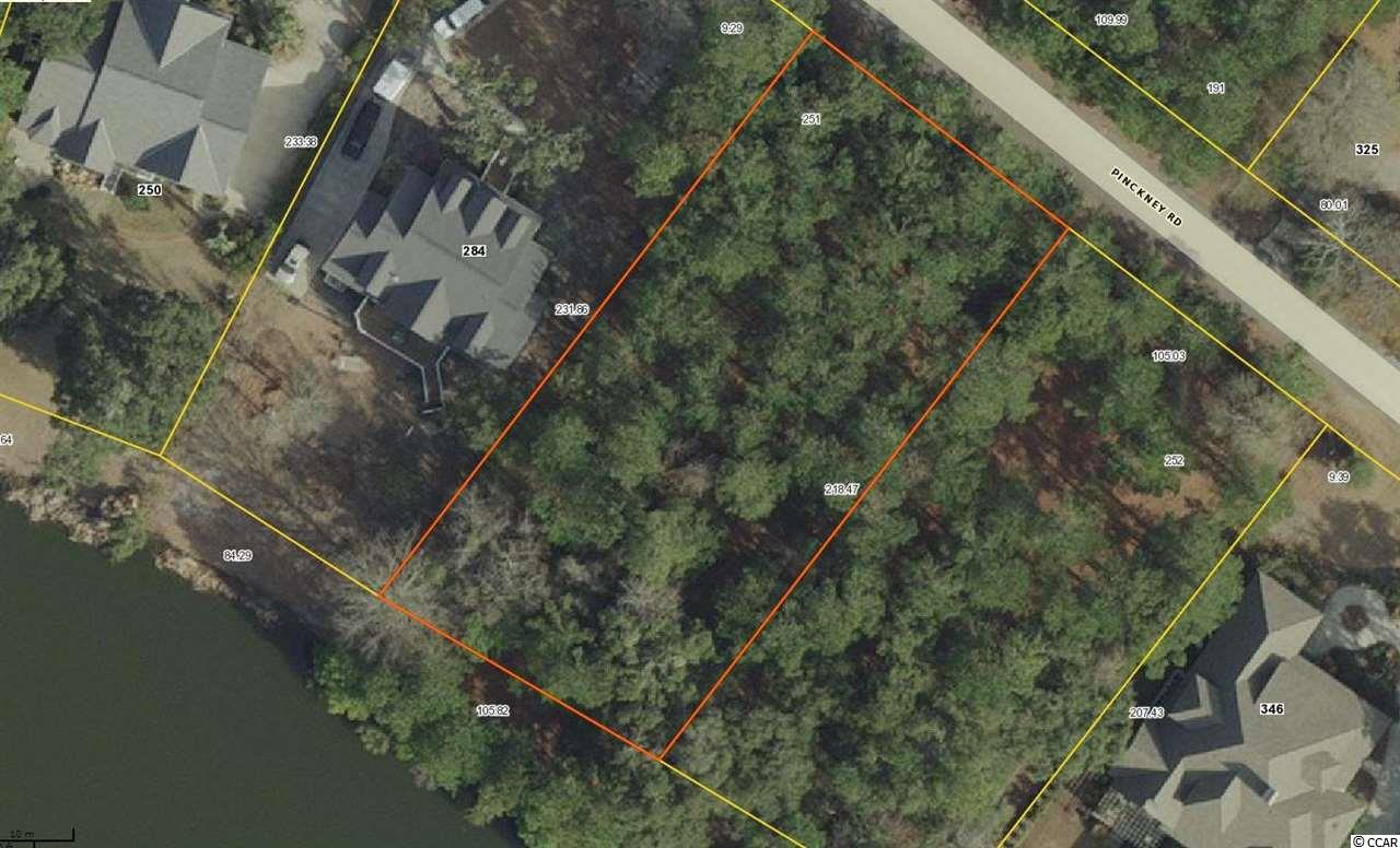 Lot 251 Pinckney Road Georgetown, SC 29440 - Photo 6 of 40 Gallery Image 6