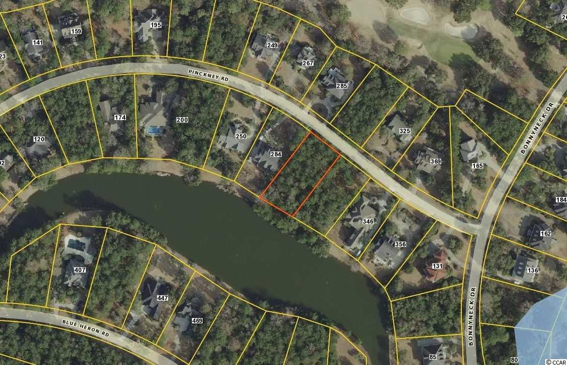Lot 251 Pinckney Road Georgetown, SC 29440 - Photo 7 of 40 Gallery Image 7
