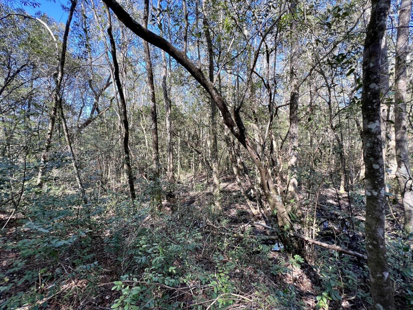 0 Dixon Road Bay Minette, AL 36507 - Photo 35 of 50