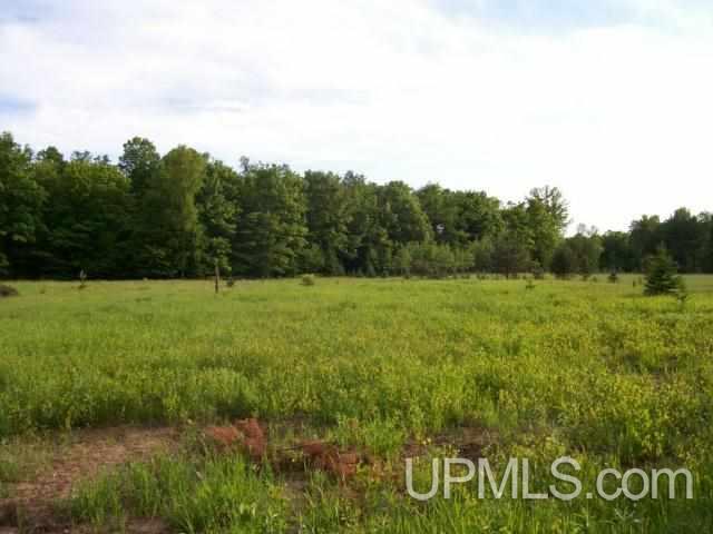Tbd Johnson Road Sagola, MI 49881 - Photo 1 of 6