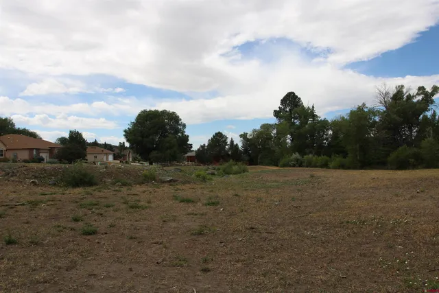 a view of a dirt road with trees in the background