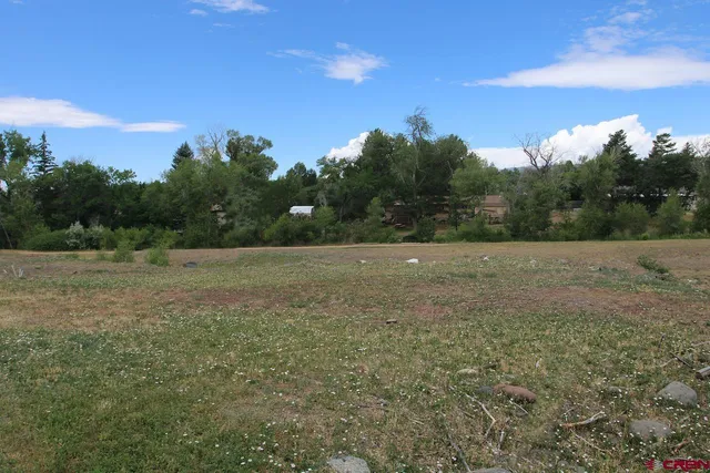 a view of a field with trees in background