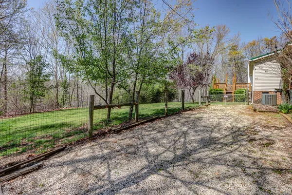 a view of a yard with plants and trees