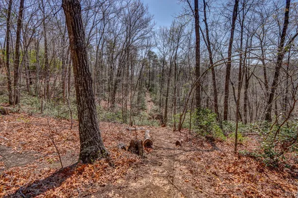 a view of a field with an ocean view