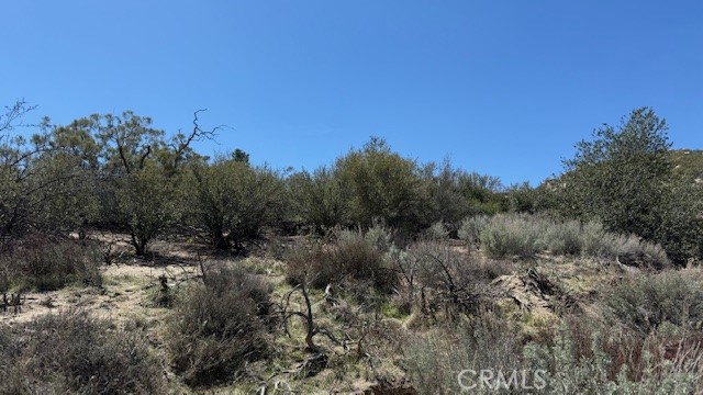 0 Bogota Road Anza, CA 92539 - Photo 2 of 4