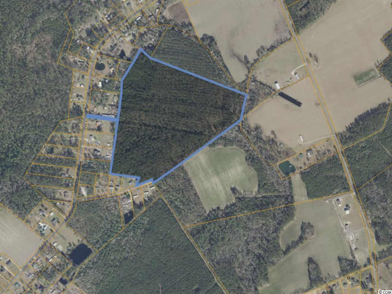 Tbd Tbd Willard Road Conway, SC 29526 - Photo 5 of 7 Gallery Image 5