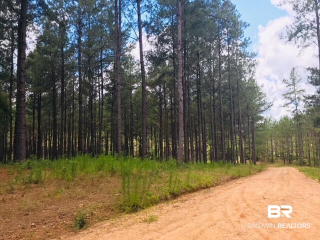 744 Fox Trot Road Grove Hill, AL 36451 - Photo 13 of 46