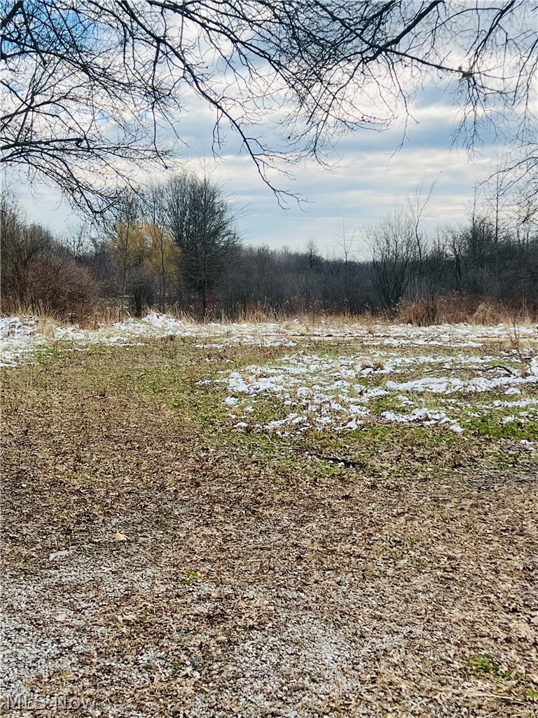 8670 Fortney Road Orwell, OH 44076 - Photo 16 of 19
