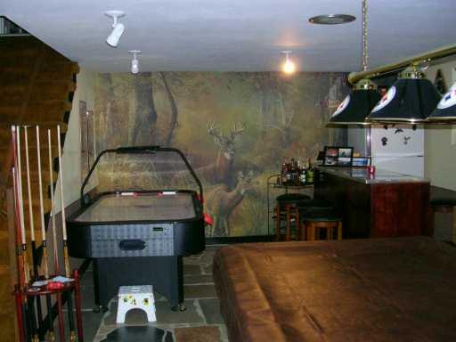 41 Radium Street Observatory Hill, PA 15214 - Photo 6 of 6 Other.