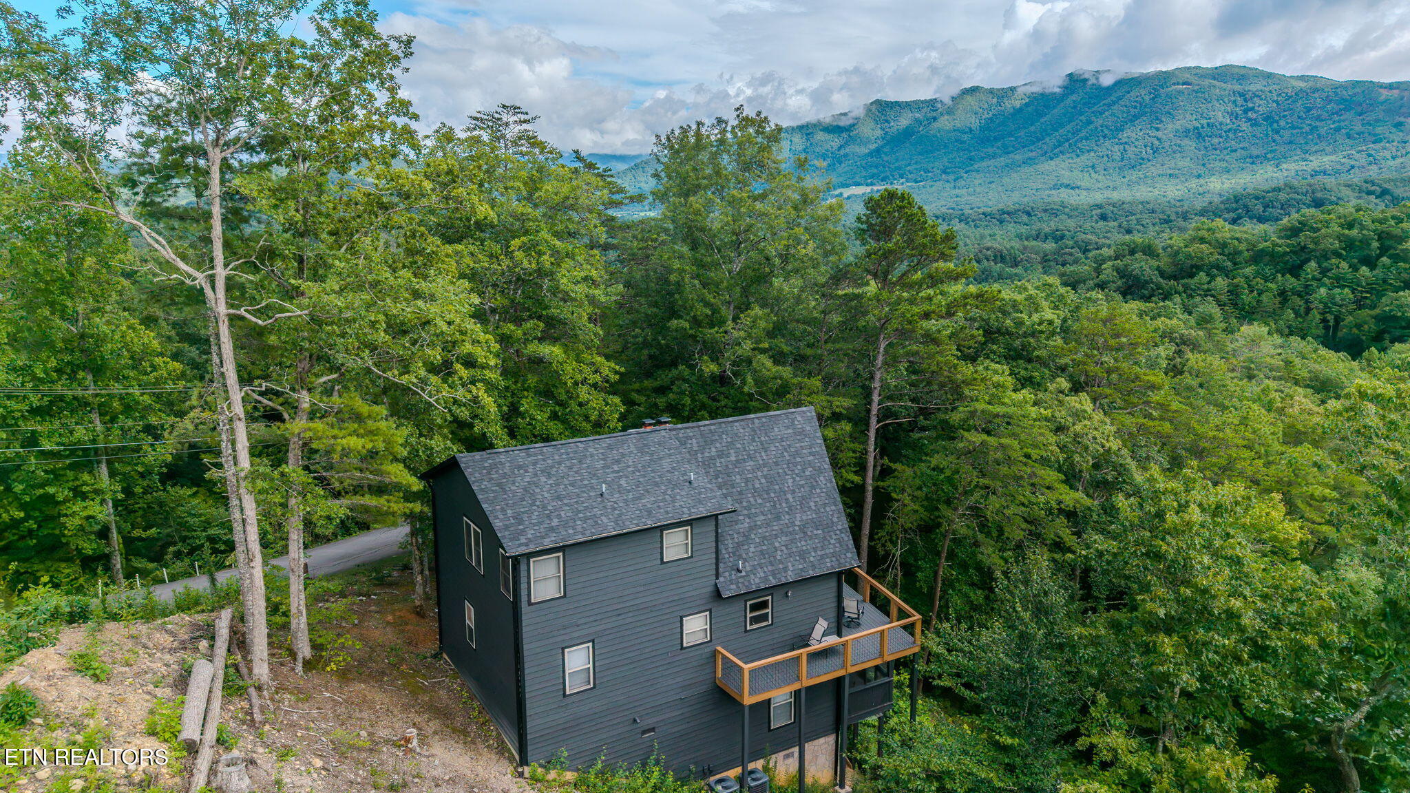 209 Cutter Gap Road Townsend, TN 37882 - Photo 6 of 40 4-web-or-mls-209-cutter-gap-rd