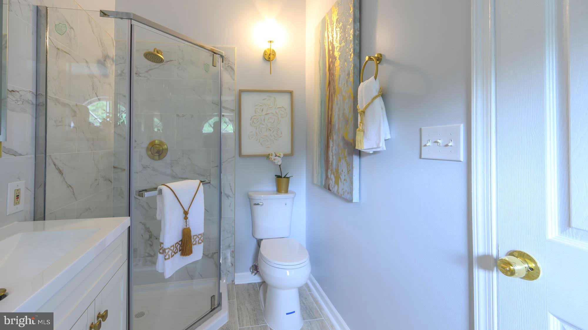 2832 Strauss Terrace Silver Spring, MD 20904 - Photo 40 of 80 Need We Say More!!!