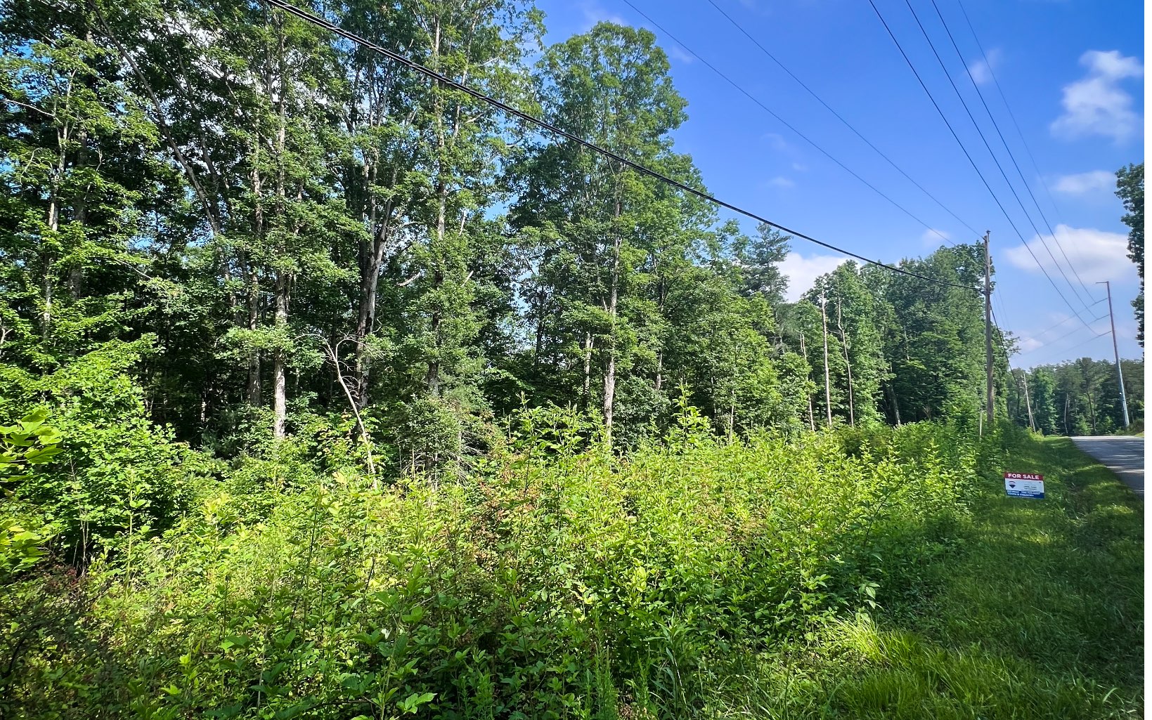 Lower Tails Creek Road Ellijay, GA 30540 - Photo 1 of 7 Main View