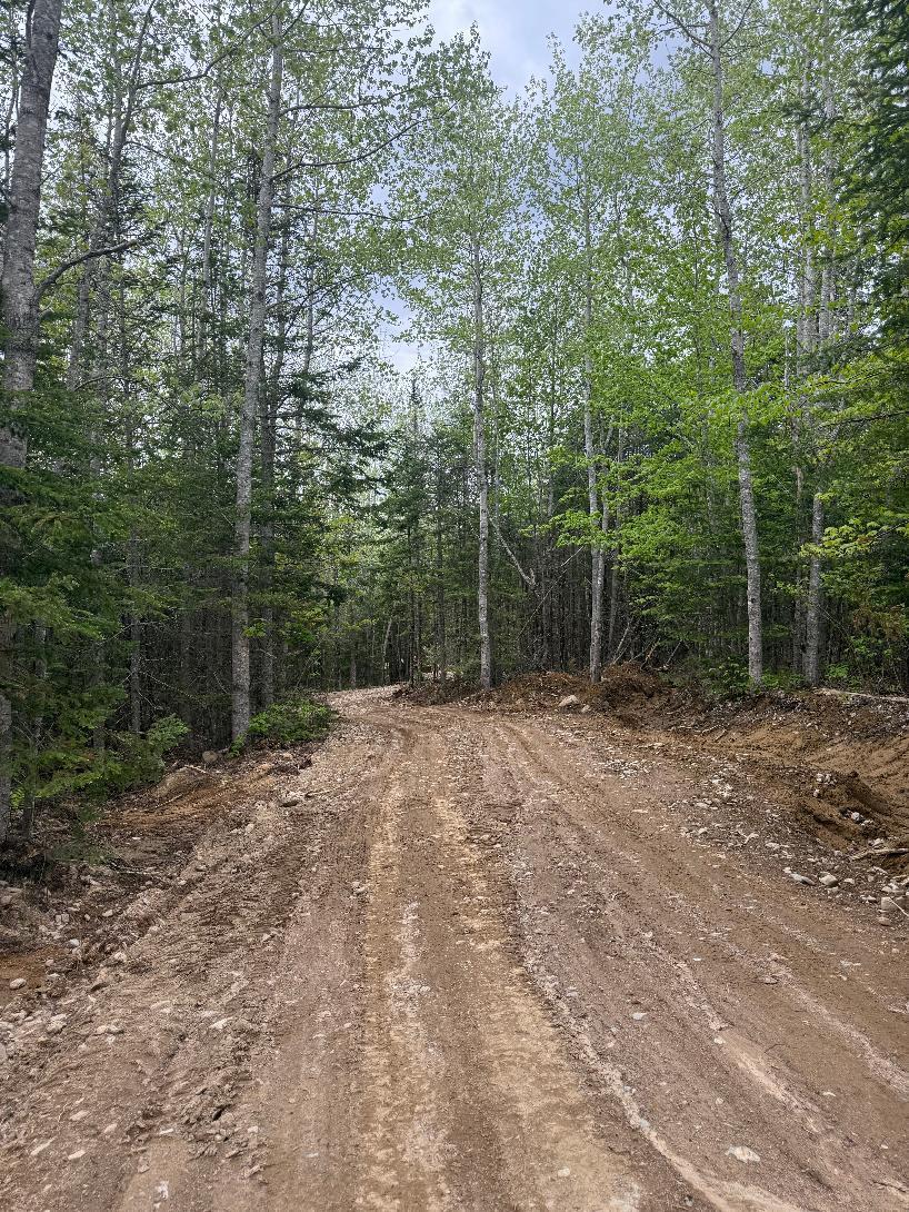 Lot 7-bh Lot 7-bh Steam Mill Road Robbinston, ME 04671 - Photo 7 of 17 thumbnail (1)