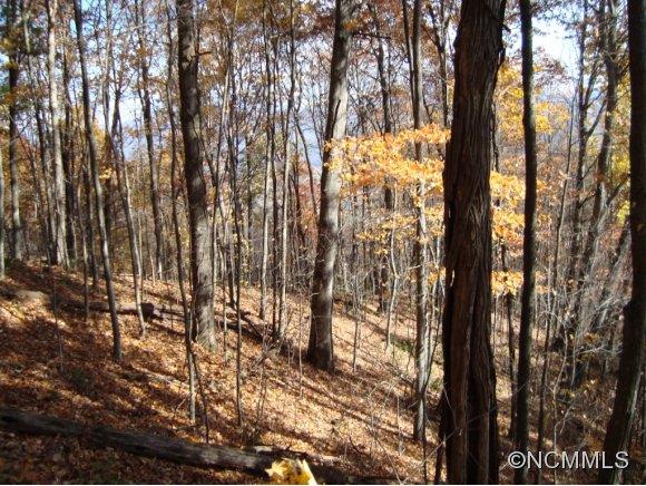 Lot 72 Frank Davis Road, Unit 72 Waynesville, NC 28785 - Photo 1 of 6 Gallery Image 1