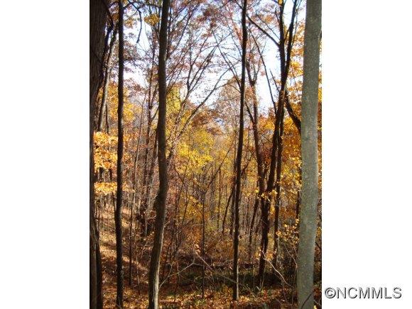 Lot 72 Frank Davis Road, Unit 72 Waynesville, NC 28785 - Photo 3 of 6 Gallery Image 3