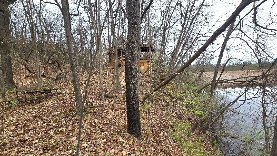 0 Palmer Road Brooklyn, MI 49230 - Photo 1 of 13 palmer 1