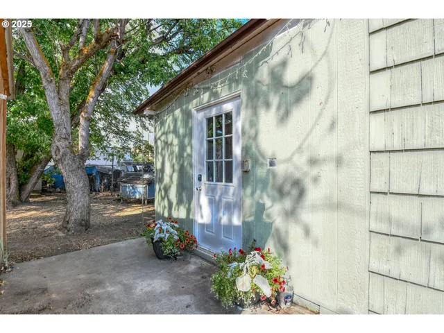 a view of backyard with potted plants