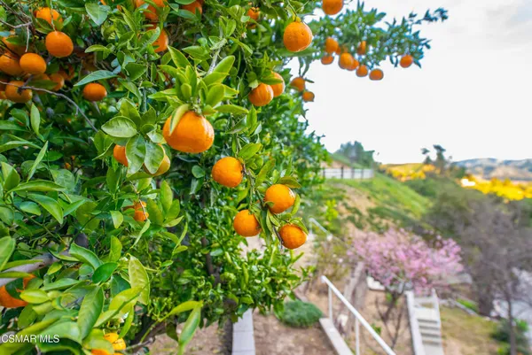 $1,250,000 | 12141 Wildwood Trail, Sylmar, CA 91342